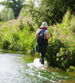 Water vole surveying - copyright Allen Beechey