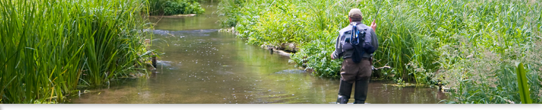 The River Chess The River Chess